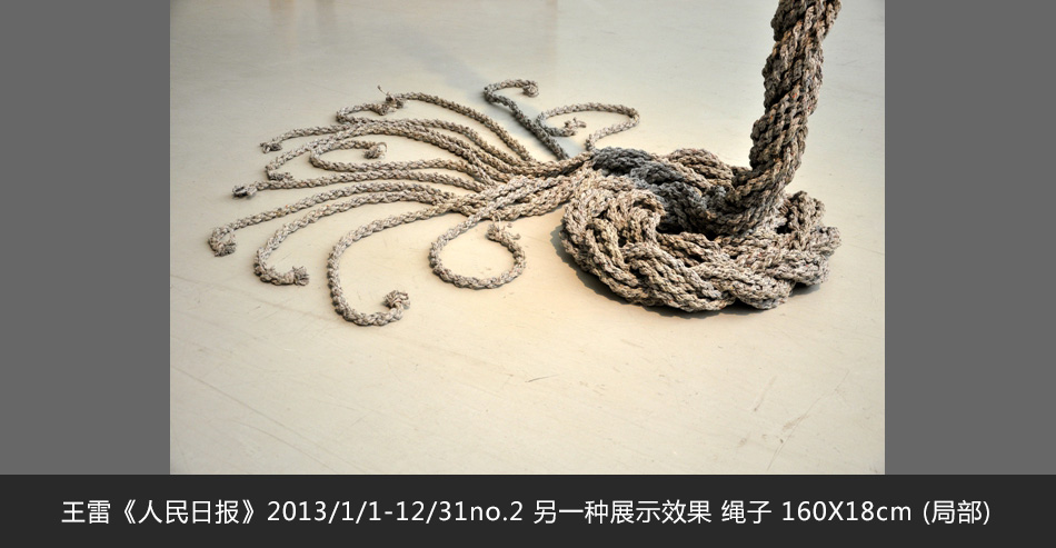 王雷《人民日報》2013/1/1-12/31no.2 另一種展示效果 繩子 160X18cm (局部)