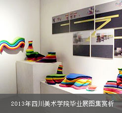 2013年四川美術(shù)學(xué)院畢業(yè)展圖集賞析